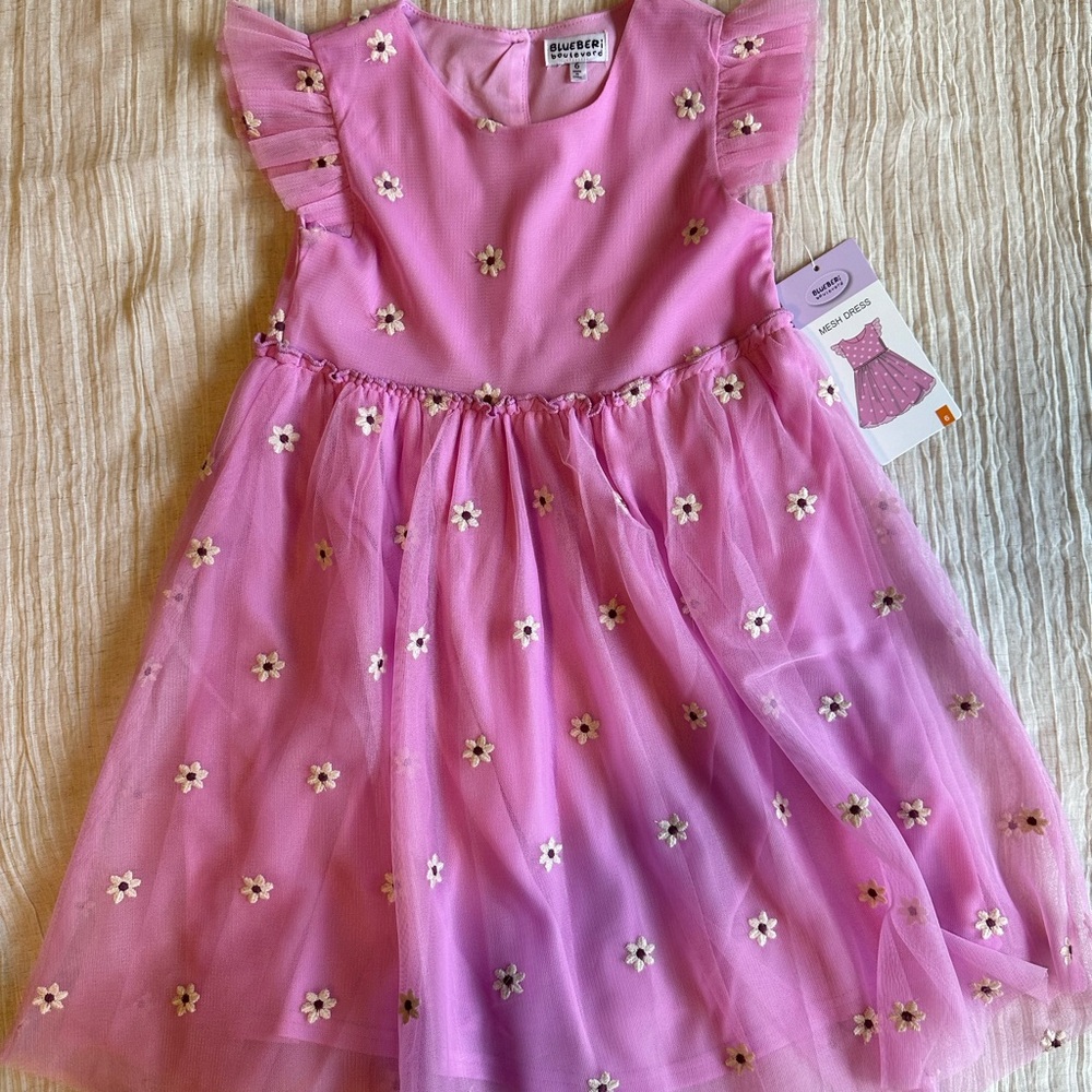 Blueberi Boulevard Pink Dress with Floral Embroidery